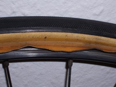 100_9961.JPG