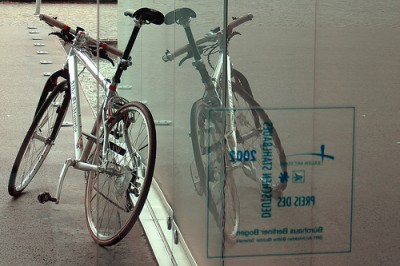 bullhörnchen und abfallendes oberGURKENrohr.jpg