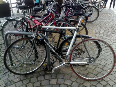 11092010088.jpg