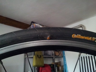 2013-05-06 13.44.42.jpg