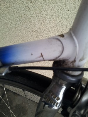 2014-01-16 12.56.48.jpg