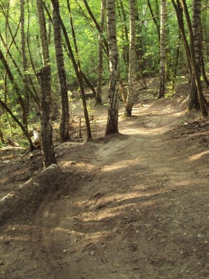 waldspaziergang2.JPG