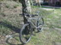 21452877fi.jpg
