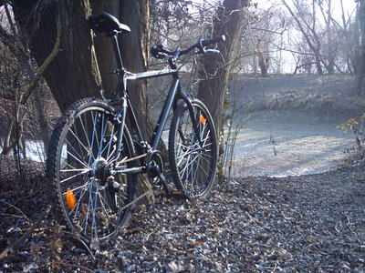 steinreiter11.JPG