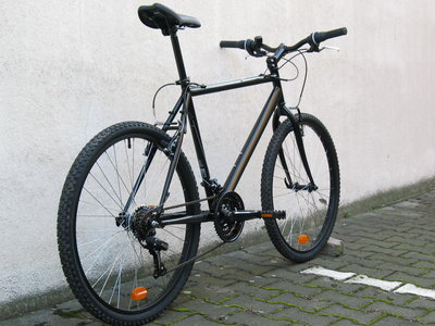 steinreiter7175.JPG