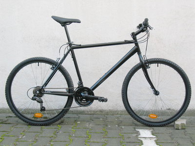 steinreiter7164b.JPG
